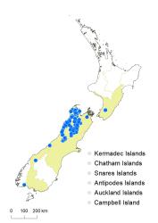 Veronica canterburiensis distribution map based on databased records at AK, CHR & WELT.
 Image: K.Boardman © Landcare Research 2022 CC-BY 4.0